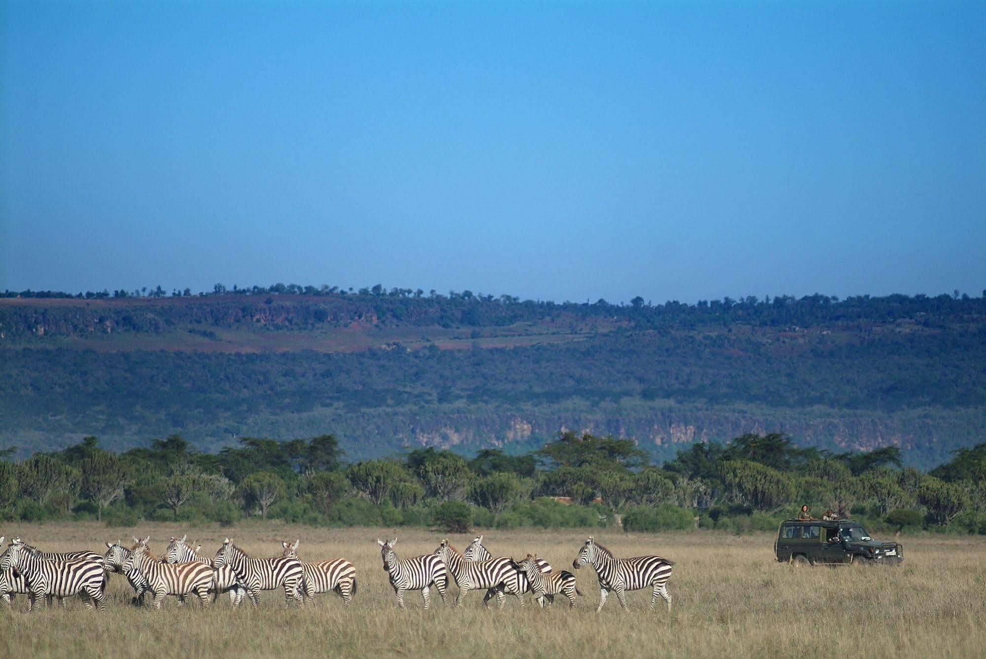Mbweha Camp Hotel Elmenteita Bagian luar foto